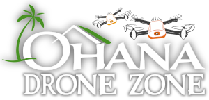 ODZ-Colored-Logo-Grey-300x144